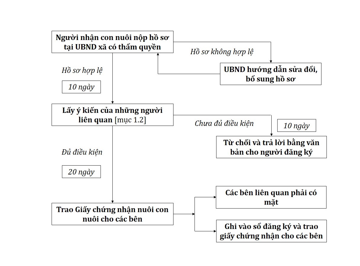 Quy trình, thủ tục nhận cha mẹ con theo quy định mới nhất (2025) Chi tiết từng bước