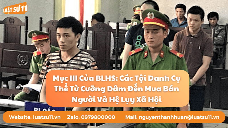 Mục III của BLHS các tội danh cụ thể từ cưỡng dâm đến mua bán người và hệ lụy xã hội