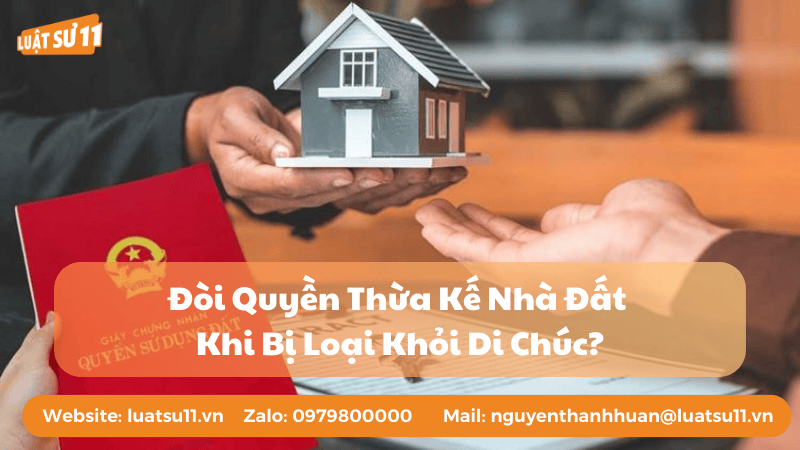 Đòi Quyền Thừa Kế Nhà Đất Khi Bị Loại Khỏi Di Chúc
