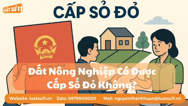 Đất nông nghiệp có được cấp sổ đỏ không?