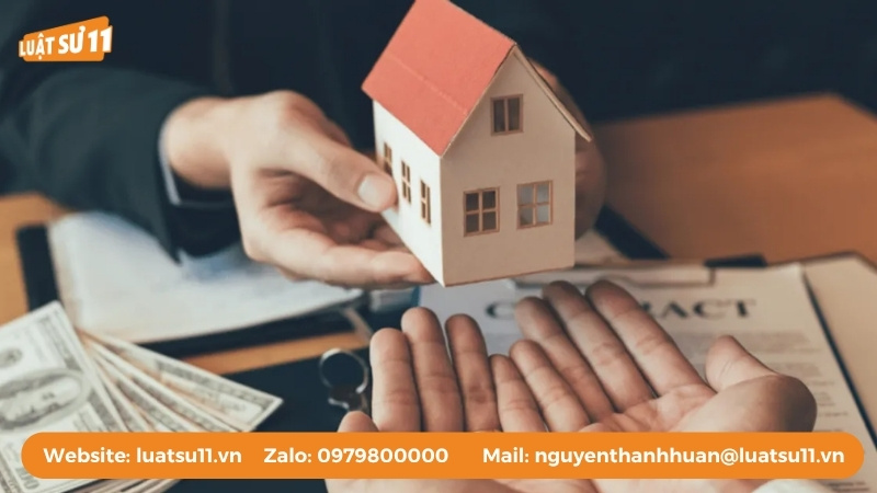 Chủ sở hữu có quyền khởi kiện đòi lại đất từ người chiếm hữu ngay tình sau hơn 30 năm
