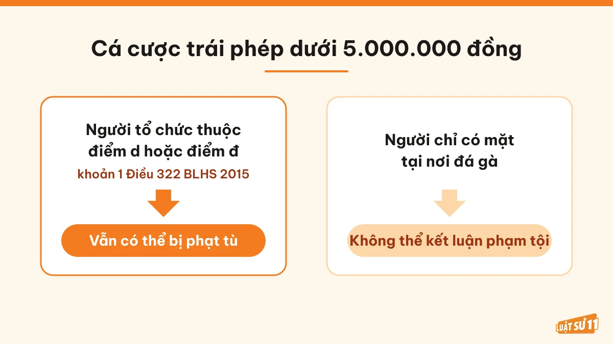 So sánh người tổ chức thuộc điểm d, đ với người chỉ có mặt tại nơi đá gà