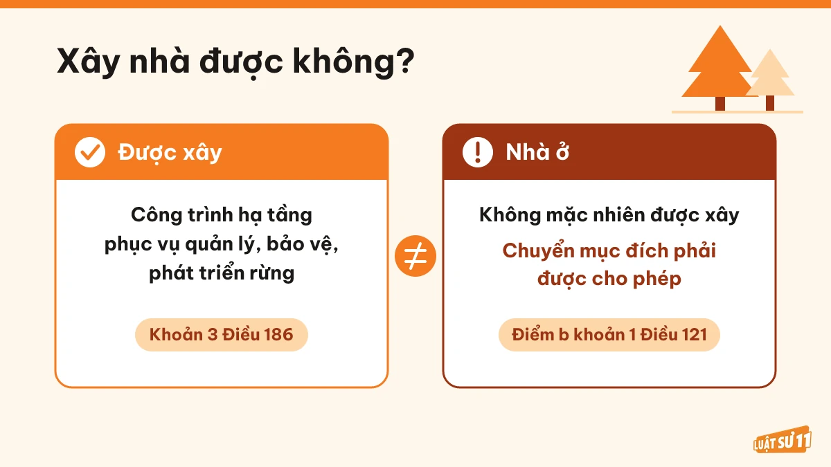 So sánh công trình hạ tầng phục vụ rừng với nhà ở cần xin phép chuyển mục đích