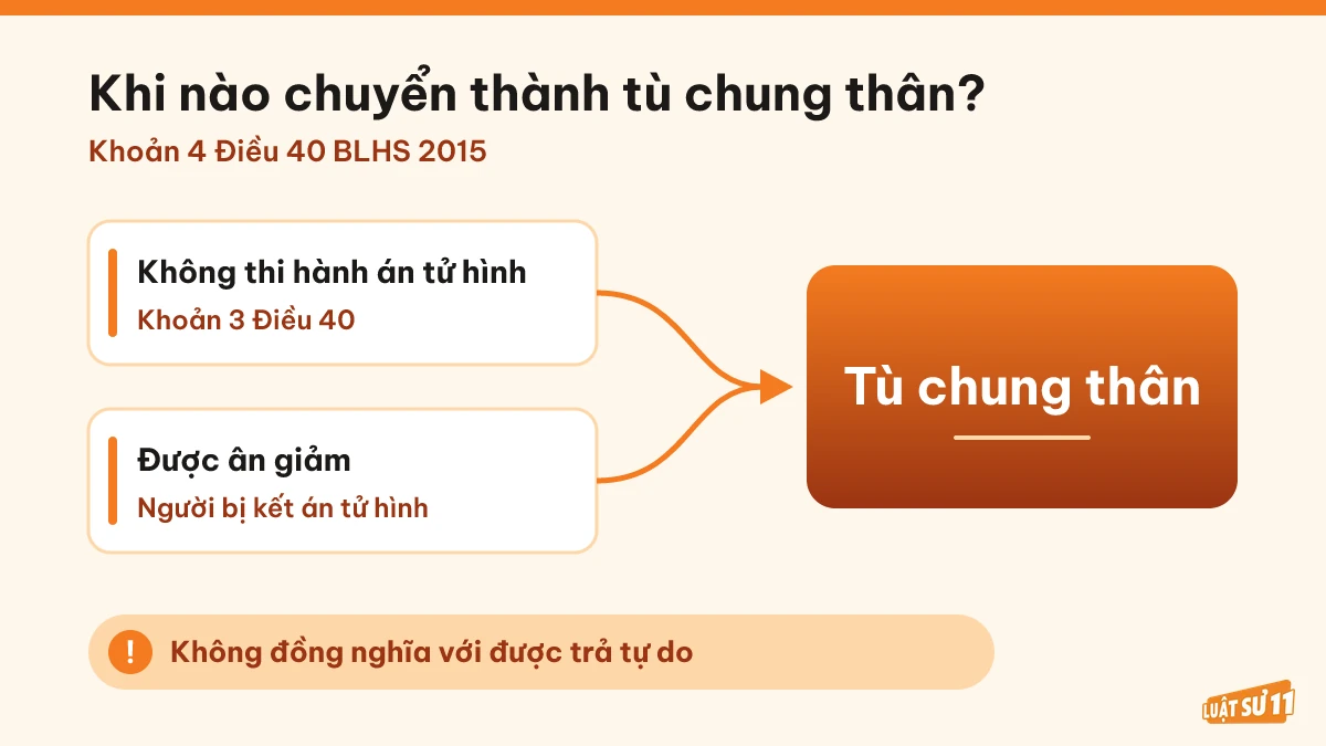 Sơ đồ không thi hành án tử hình hoặc được ân giảm chuyển thành tù chung thân