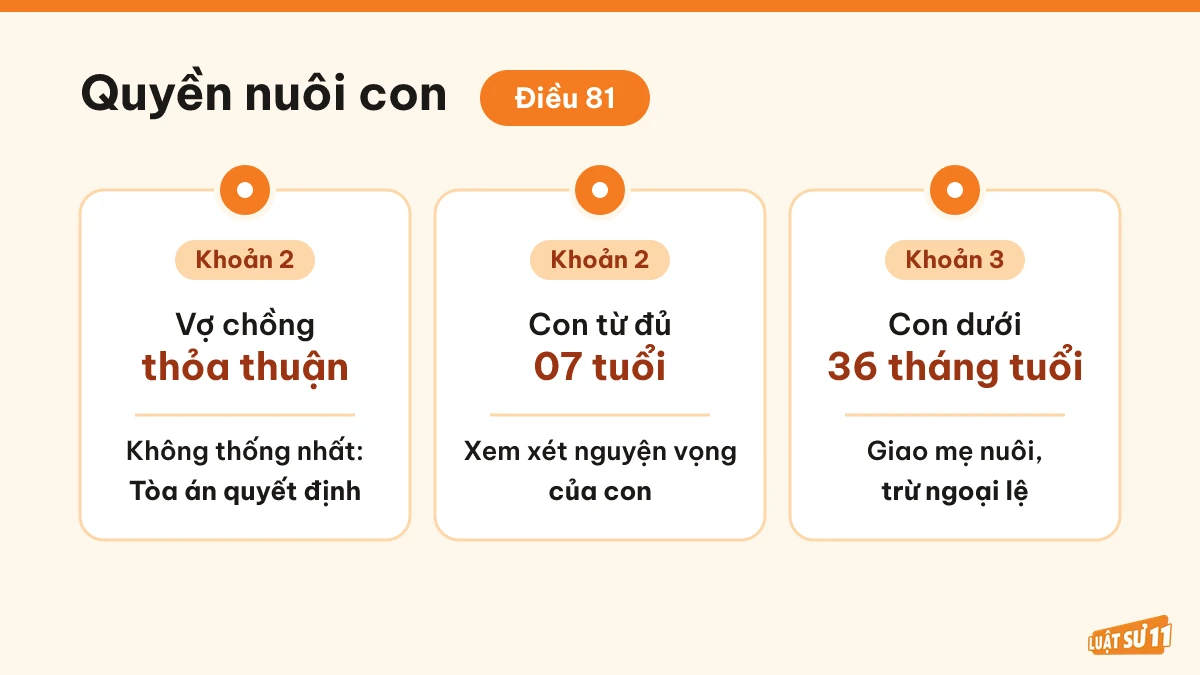 Ba nguyên tắc xem xét quyền nuôi con khi ly hôn theo Điều 81