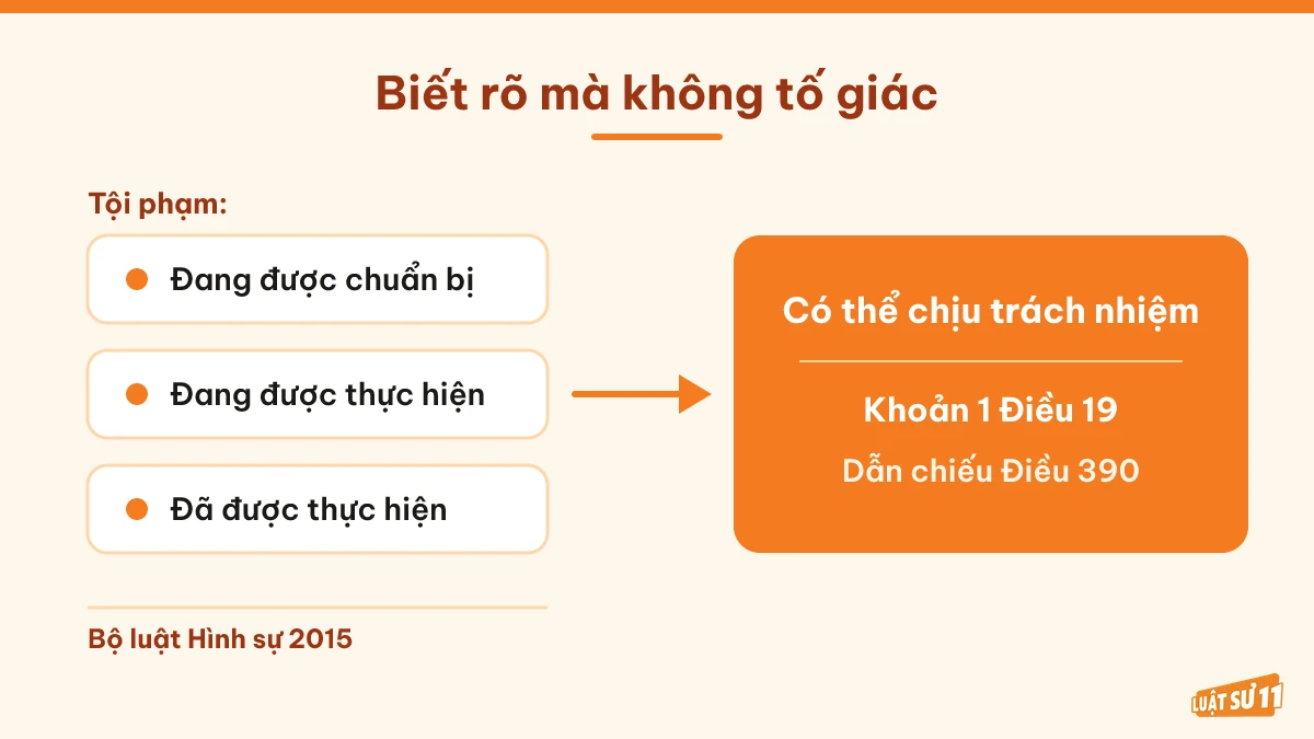 Ba giai đoạn tội phạm mà người biết rõ không tố giác có thể chịu trách nhiệm