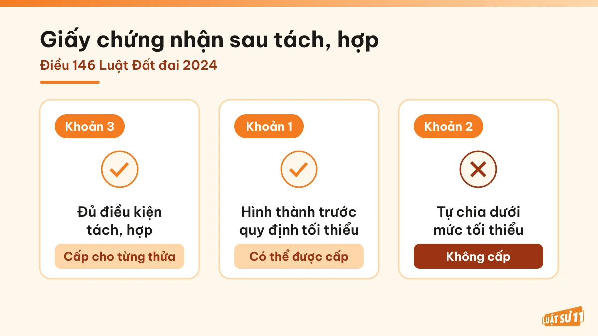 Các trường hợp cấp hoặc không cấp giấy chứng nhận theo Điều 146 Luật Đất đai 2024